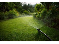 綠植養(yǎng)護(hù)技巧大揭秘：澆水、光照與施肥全攻略