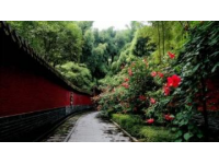 探尋安慶曉雨小隱園：都市中的寧靜田園風(fēng)光