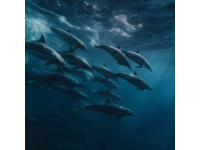 大開眼界！揭秘水豚泡溫泉、土撥鼠打斗背后的生物奧秘