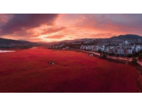 隱匿于川西的凈土理塘,我的家鄉