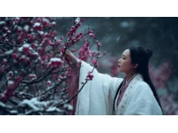 大理三日游：慢享風(fēng)花雪月間的詩意時光