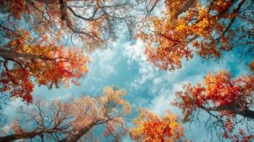 立秋生活小常識立秋儀式感立秋感悟立秋雖是一個秋已立、暑難消的