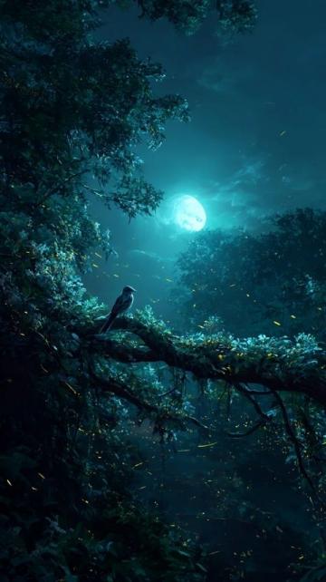 深夜三點半，月色溫柔伴蟲鳴