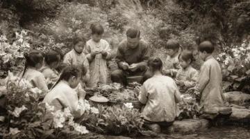 廣東佛山市高明區沙寮村：西江河鮮美食與田園風光之旅