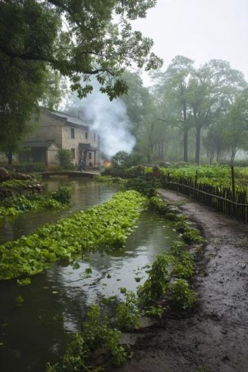 廣東佛山市高明區沙寮村：西江河鮮美食與田園風光之旅