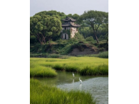 探索高淳綠意盎然——在萬畝茶園與竹林中享受寧靜之旅