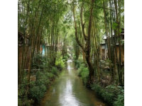 寶貝們，今日要帶您去逛一趟迷人的龍巖森林水鄉