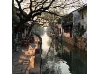 江蘇太倉旅游攻略：應對AI造謠，暢游江南水鄉美景與美食