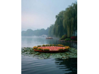 濟南大明湖攻略：四面荷花三面柳，盡賞湖光山色美景
