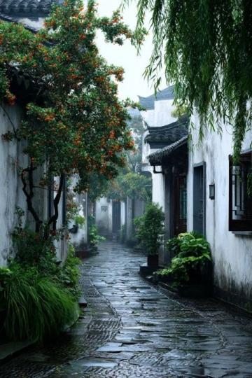 秋日漫步朱家角北大街：感受江南水鄉(xiāng)的歷史韻味與民俗風(fēng)情