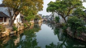 秋日漫步朱家角北大街：感受江南水鄉(xiāng)的歷史韻味與民俗風(fēng)情