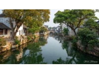 秋日漫步朱家角北大街：感受江南水鄉的歷史韻味與民俗風情