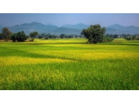 梵天凈土等你來銅仁旅游攻略