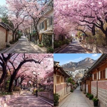 全球賞櫻勝地精選:領(lǐng)略櫻花之美,不容錯過的國內(nèi)外絕佳去處