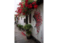 中國朝鮮族民俗園美食街添特色打卡墻，網(wǎng)紅花飾少女受追捧