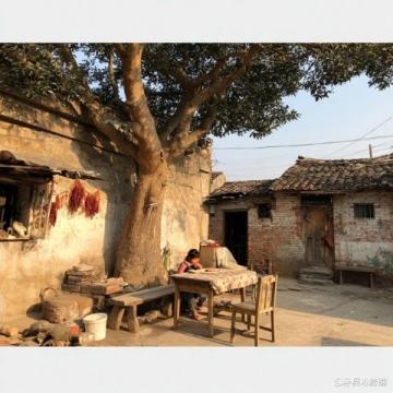 青島農大學子古建守護三下鄉行記