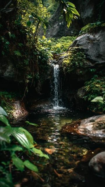 深圳夏日秘境馬巒山：瀑布溪流與自然之美等你探索