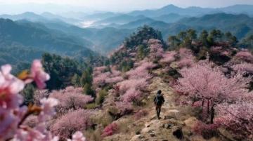 雙廊沙溪大理最美鄉鎮春季踏青路線