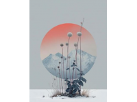 大理之旅：風(fēng)花雪月與美食的美好碰撞