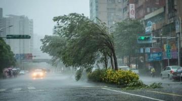 告別東北行：風(fēng)雨無阻的歸途與未完的心愿