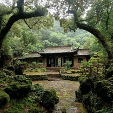 心馳神往潮汕風情,美食與人文皆夢中求索