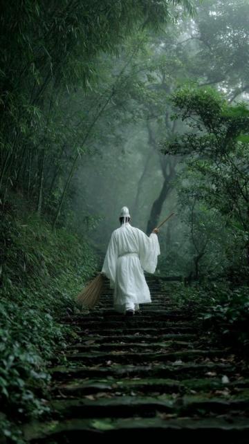 在竹林幽徑,那盞微光如引,照亮未知,于靜謐中探尋自我