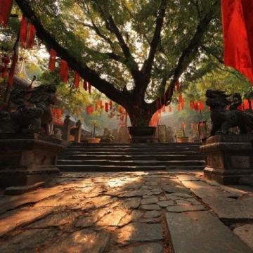 深圳車公廟奇遇：意外發(fā)現(xiàn)寶藏之地！