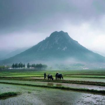 和好朋友一起經(jīng)歷的云南之旅