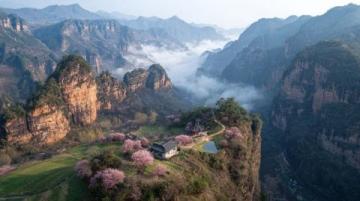 云南深山探秘：揭開大自然的珍饌——野生菌