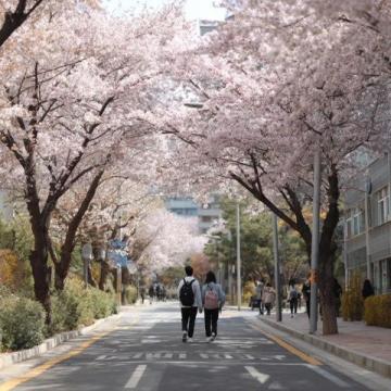 這里有一些五一期間的小眾旅游城市推薦。