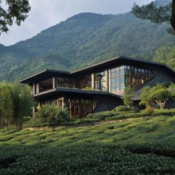 周末奢享:從化壹泉灣,氡泉山珍美食盛宴