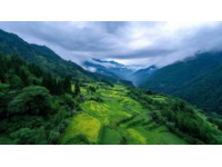 安陽市滑縣三日游攻略