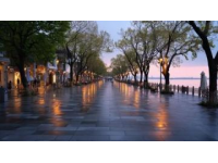 廈門是一座充滿文藝氣息的海濱城市，既有浪漫的海島風光，也有閩南文化的深厚底蘊