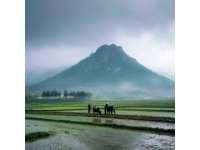 和好朋友一起經(jīng)歷的云南之旅