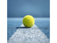 網球規則知多少(網球常識規則)