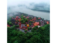 廣西邕寧區蒲廟鎮良信村：早春田園美景與鄉村振興新篇章