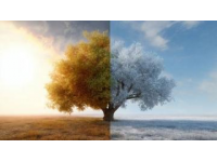 從酷寒到炎熱: 16度至32度的溫度轉(zhuǎn)變