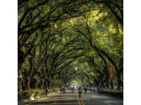 徐州網紅城市名副其實,但你是否曾經想過