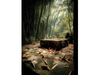 探尋深圳梧桐山：融合自然之美的人文秘境