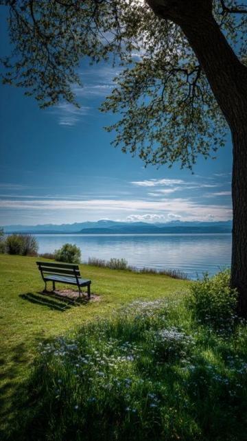 瑞士蘇黎世之旅:陰天中的無盡魅力與家庭治愈時刻