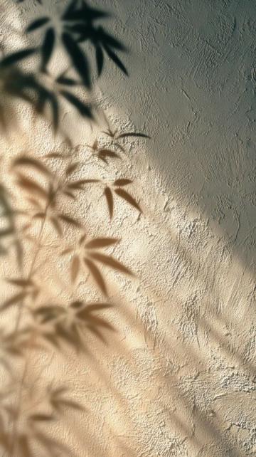 浪漫光影見證甜蜜時光,四季流轉(zhuǎn)共譜愛戀篇章