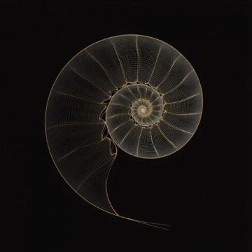 螺旋法則:作文思維轉化的新突破