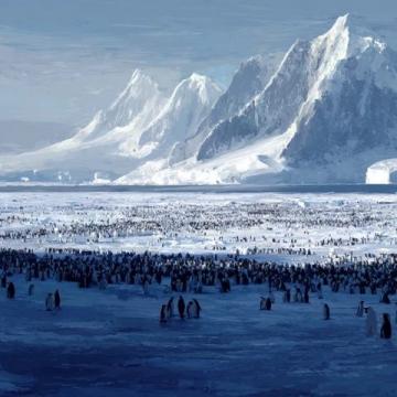 阿根廷免簽！南極旅行攻略：最佳時間、船只推薦與小貼士