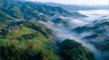 伊春之旅：深入小興安嶺，體驗北國森林的獨特魅力