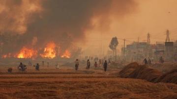 帶孩子逛菜市場(chǎng):體驗(yàn)生活煙火氣的奇妙之旅