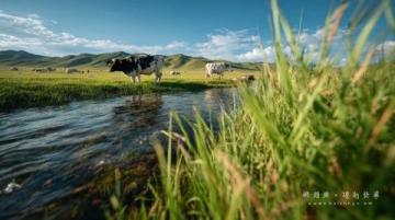 新疆?dāng)z影圣地：探尋自然奇觀與文化故事，捕捉詩(shī)意瞬間