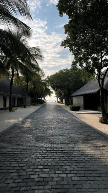 馬爾代夫阿米拉島:一站式奢華度假體驗,盡享浮潛與美食盛宴