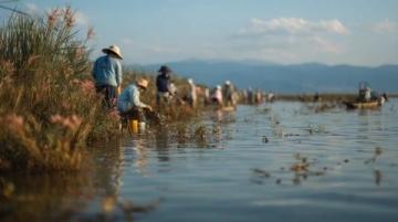 郭巨漁港：如何讓寧波人每天都能品嘗到最新鮮的小海鮮？