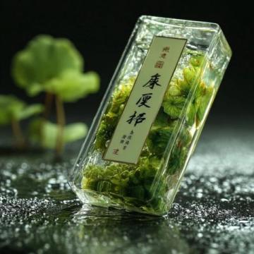 云吞飄香千載情:從醫圣張仲景的嬌耳湯到現代餐桌上的味蕾記憶