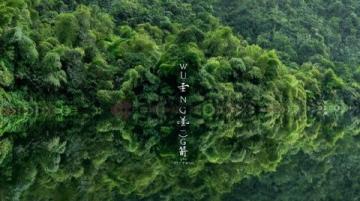 莫干山隱竹里:邂逅靜謐療愈之旅